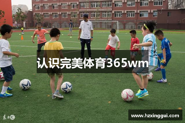 认识完美体育365wm